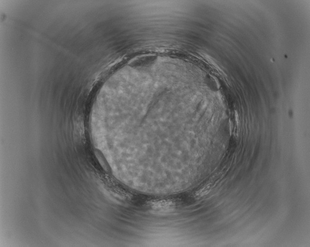 X0000075810500200610151433