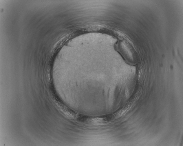 X0000075810501200610151433