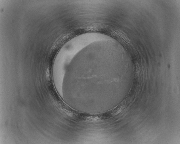 X0000075810502200610151433