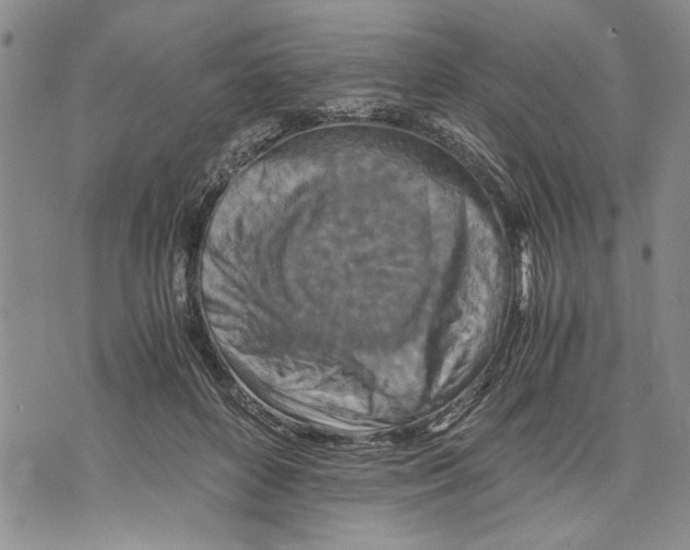 X0000075810504200610151433