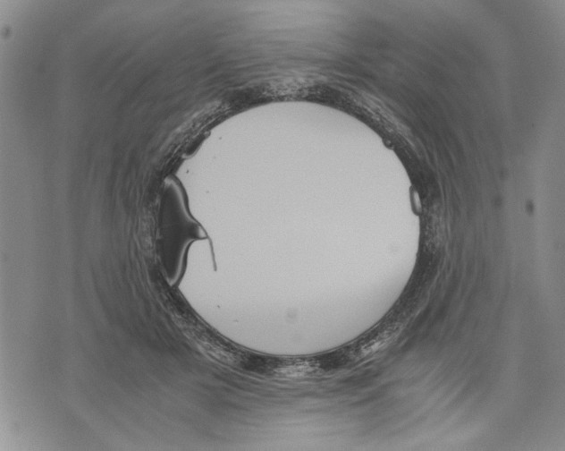 X0000075810505200610151433