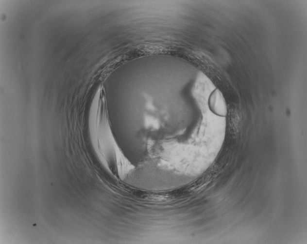 X0000075810507200610151433