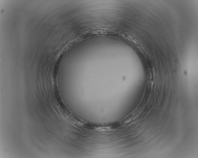 X0000075810508200610151433