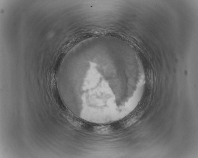 X0000075810511200610151433