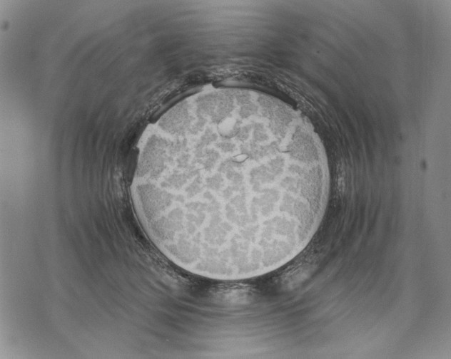 X0000075810514200610151433