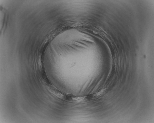 X0000075810516200610151433