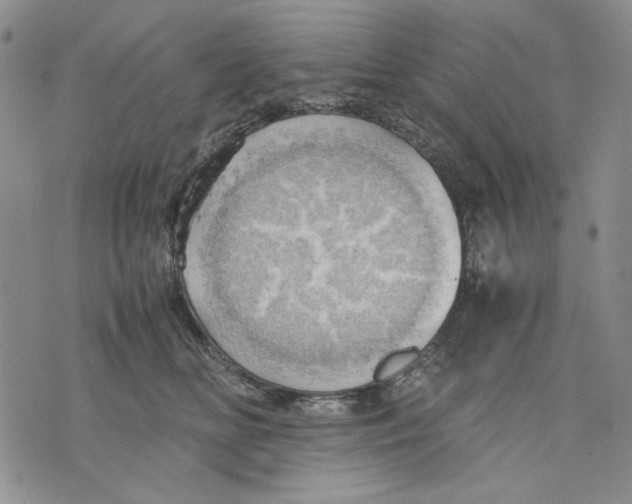 X0000075810518200610151433