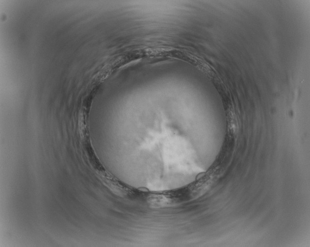 X0000075810519200610151433