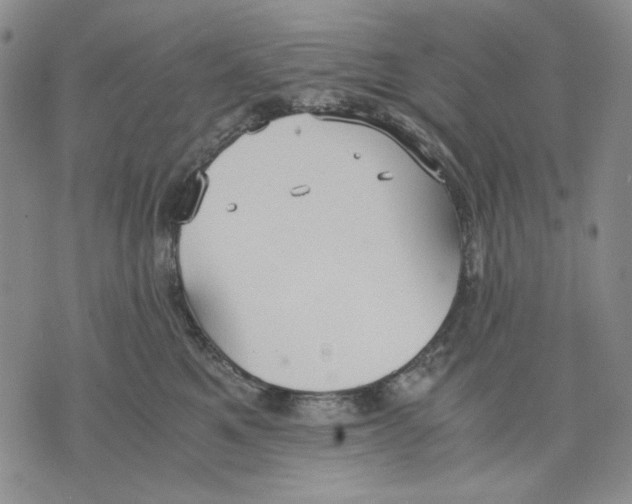 X0000075810521200610151433