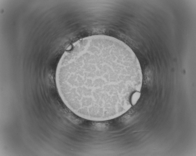 X0000075810522200610151433