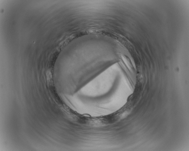 X0000075810523200610151433