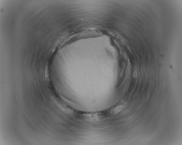 X0000075810524200610151433