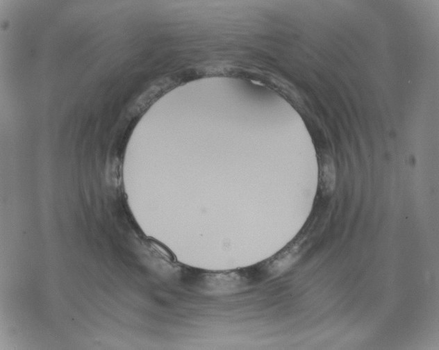 X0000075810525200610151433