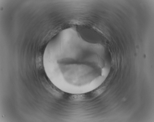 X0000075810526200610151433