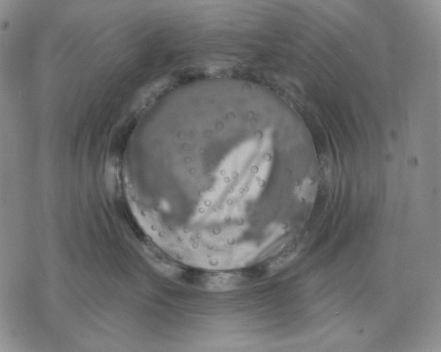 X0000075810527200610151433