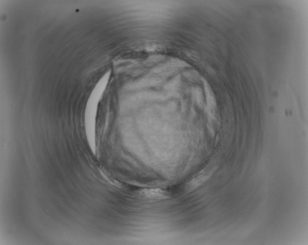 X0000075810528200610151433