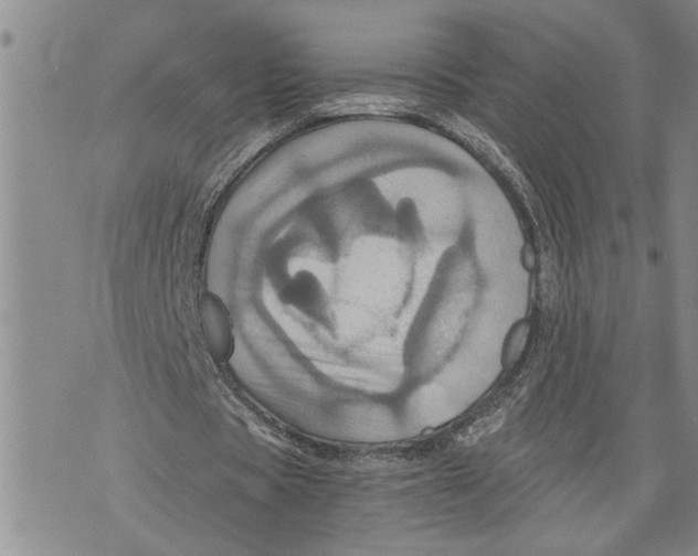 X0000075810529200610151432