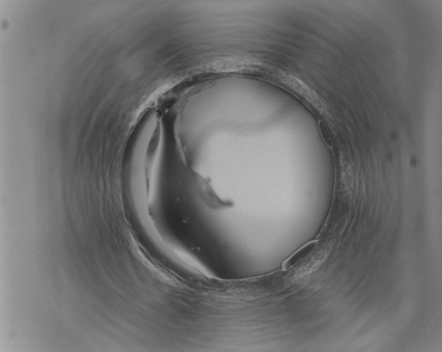 X0000075810530200610151432