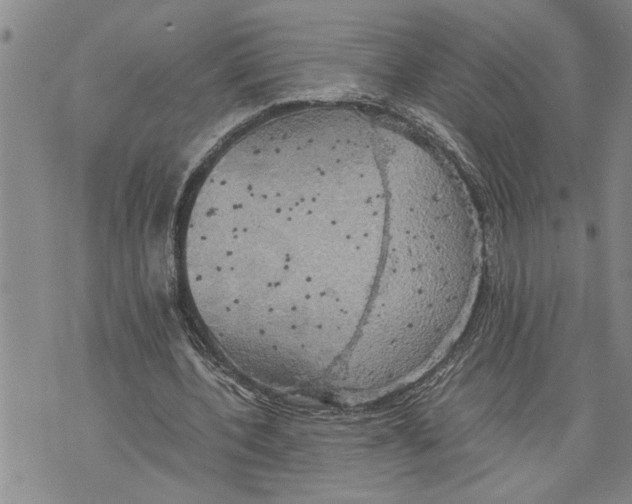 X0000075810532200610151432