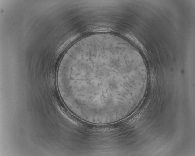 X0000075810533200610151432