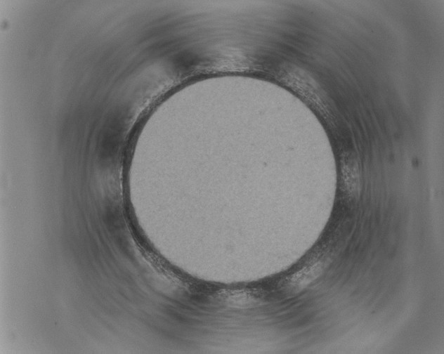 X0000075810534200610151432