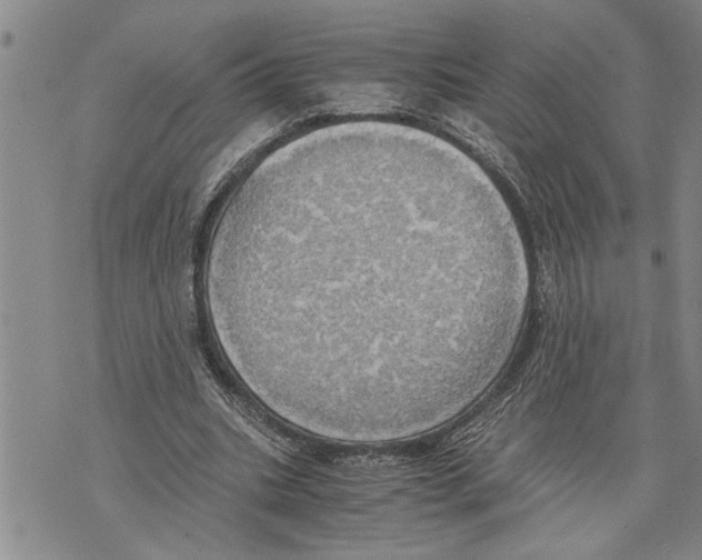 X0000075810535200610151432