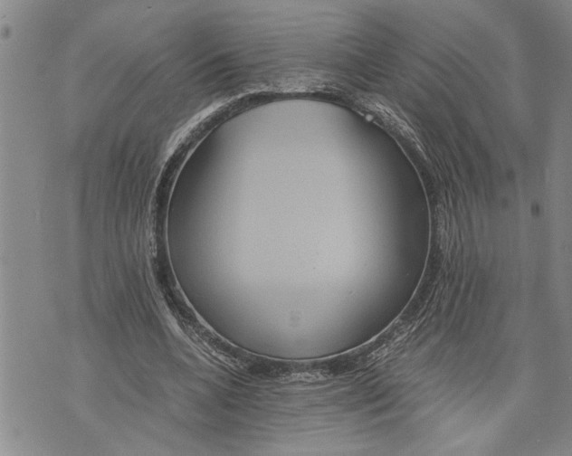 X0000075810536200610151432