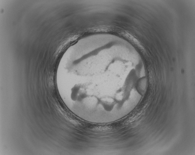 X0000075810537200610151432