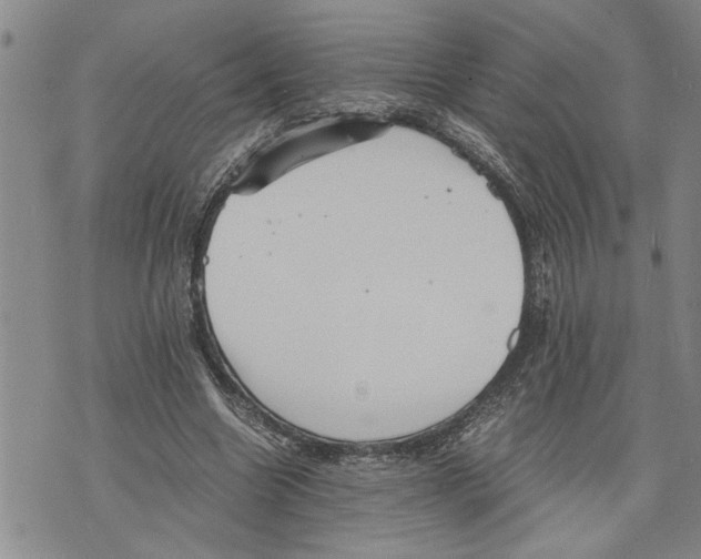 X0000075810538200610151432