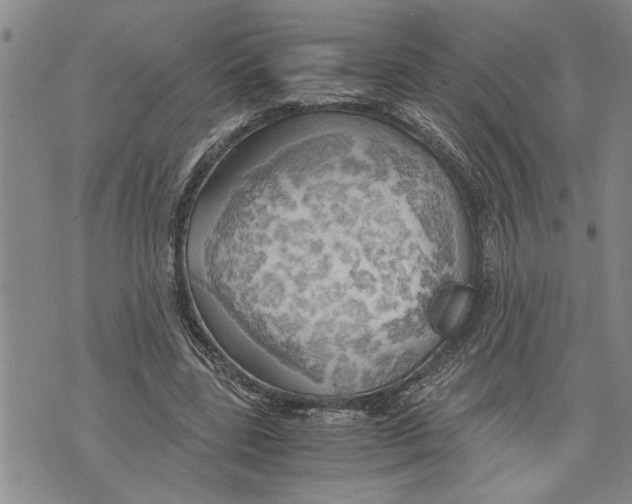 X0000075810539200610151432