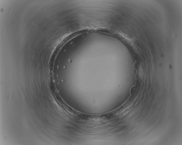 X0000075810540200610151432