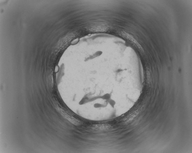 X0000075810541200610151432