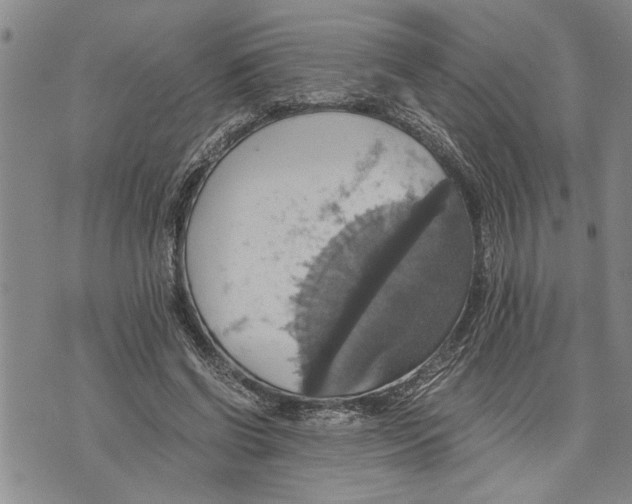 X0000075810542200610151432