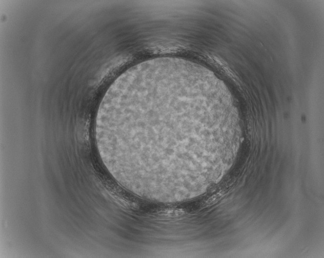 X0000075810543200610151432