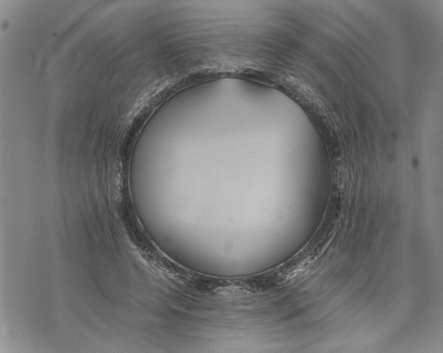 X0000075810544200610151432