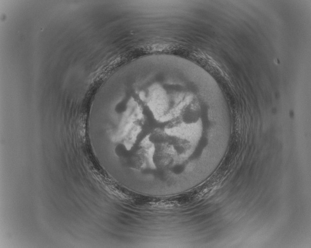 X0000075810545200610151432