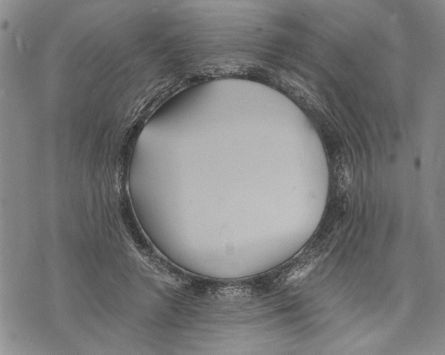 X0000075810546200610151432