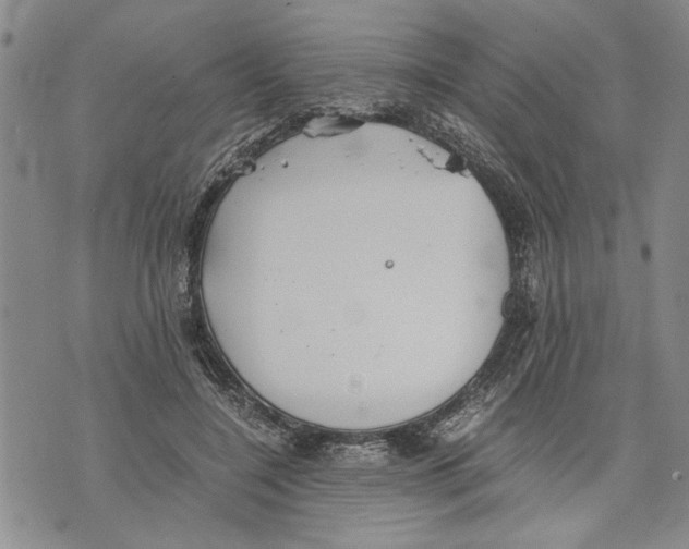 X0000075810548200610151432