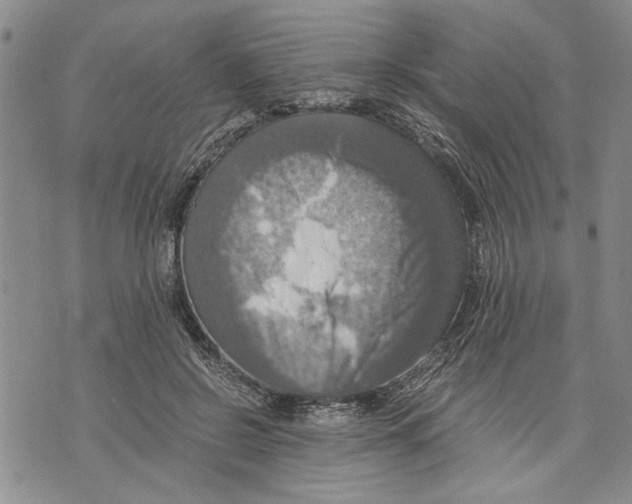 X0000075810550200610151432