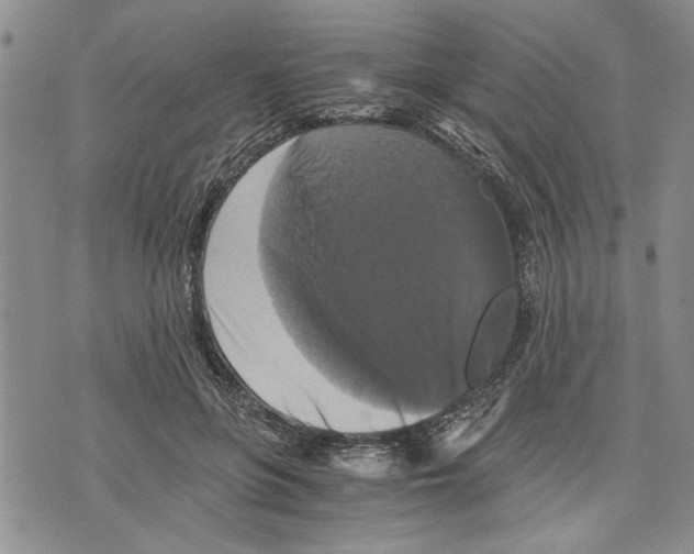 X0000075810551200610151432