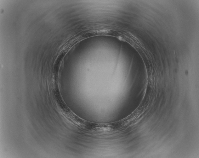 X0000075810552200610151432