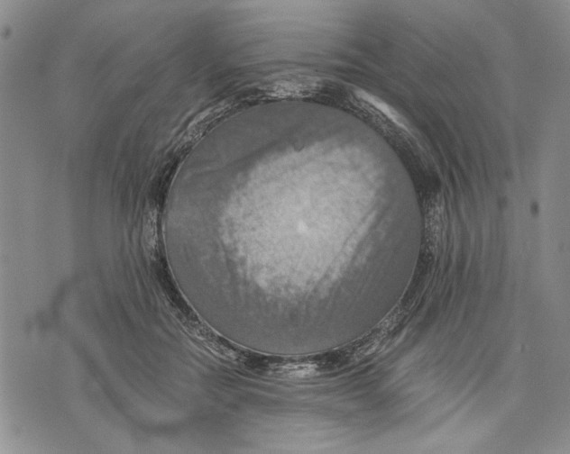 X0000075810554200610151432