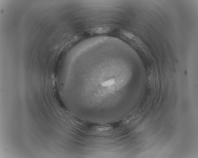 X0000075810555200610151432