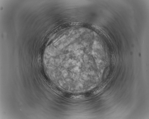 X0000075810557200610151432