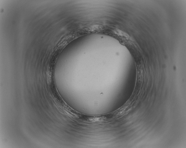 X0000075810558200610151432