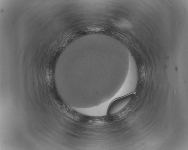 X0000075810559200610151432