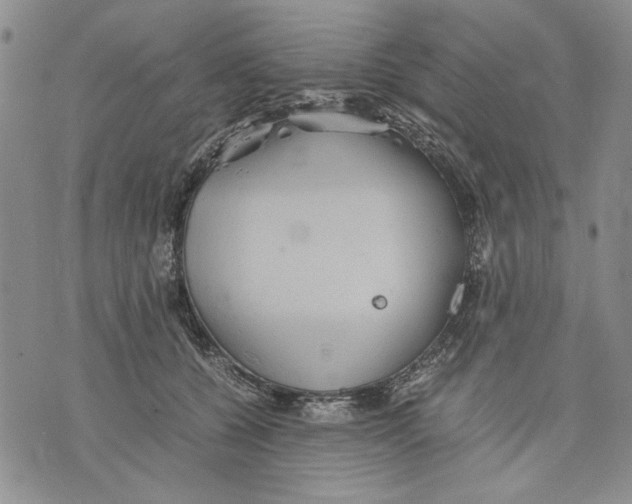 X0000075810560200610151432