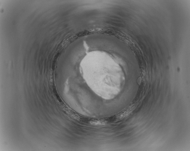 X0000075810561200610151432