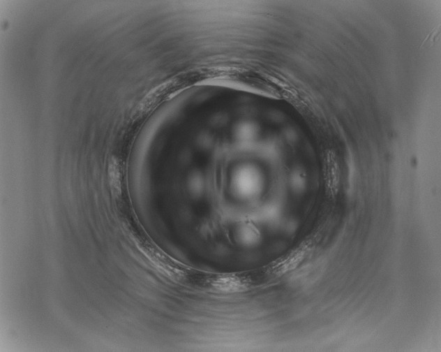 X0000075810562200610151432