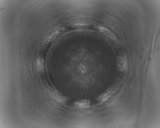 X0000075810563200610151432